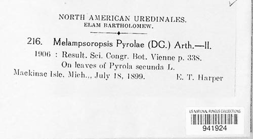 Rossmanomyces pyrolae image